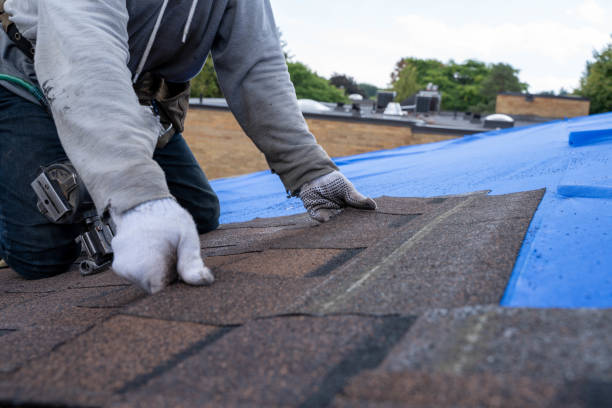 Best Roof Leak Repair  in Fairfield Bay, AR